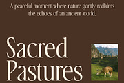 CS Brings – Elegant Serif Font, a Serif Font by Craft Supply Co. (Thumbnail 4 of 8)