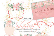Watercolor Flowers - Sherbet, an Illustration by Feather Grace Designs (Thumbnail 4 of 7)