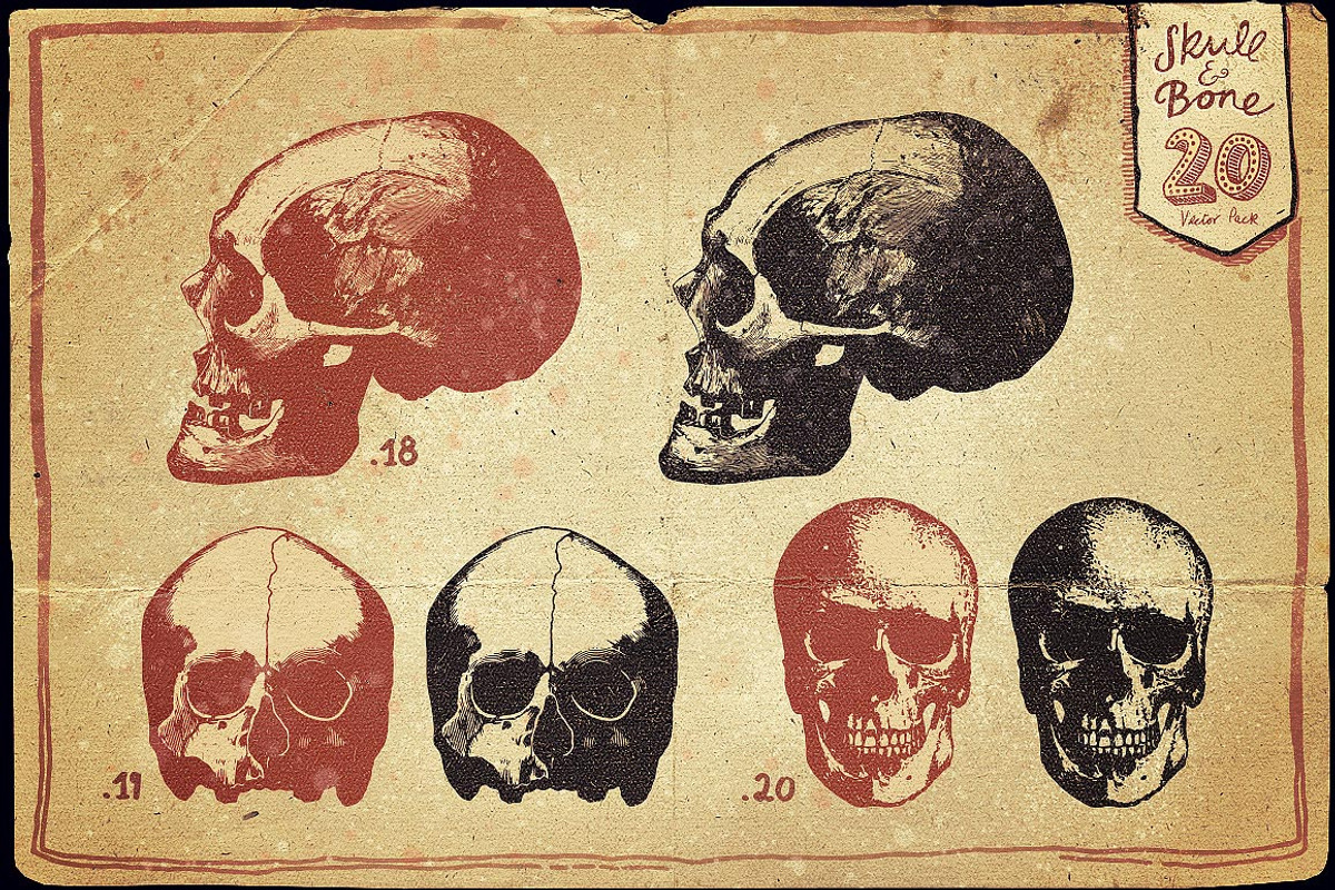 Vintage Skull and Bone Vector pack, an Illustration by Itsmesimon (Photo 10 of 11)