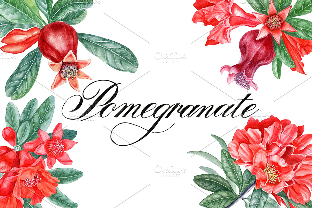 Pomegranate, an Illustration by Watercolor life (Photo 1 of 6)