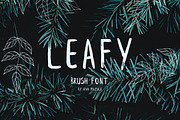 Leafy Brush Font, a Script Font by Wild Ones (Thumbnail 1 of 7)