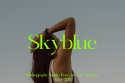 Bungalow - Elegant Serif, a Serif Font by subkulturetype (Thumbnail 3 of 8)