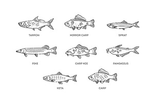 Set of vector outline fish icons, an Animal Illustration by Tettygreen