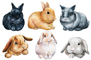 Fluffy bunnies. Watercolor painting, an Animal Illustration by Hanna Hryharenka (Thumbnail 12 of 17)