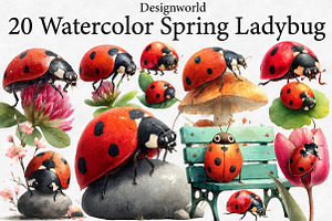 Watercolor Spring Ladybug Clipart, an Illustration by Designworld