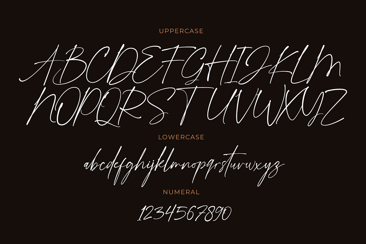 Hamburg, a Script Font by Drizy (Photo 5 of 8)