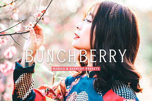 Bunchberry Pro Lightroom Presets