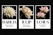 AUREVAN — Bold Luxury Serif, a Serif Font by ToniStudio (Thumbnail 8 of 13)
