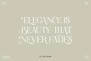 Hattori Elegant Font, a Serif Font by Zane Studio (Thumbnail 8 of 13)