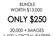 Whole Shop Bundle, an Object Graphic by Rosabebe (Thumbnail 2 of 3)