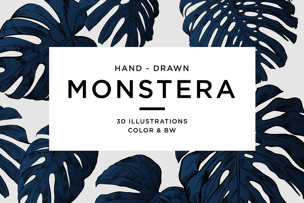 Dark Monstera leaves, an Illustration by Tanya Akhmett (Photo 1 of 7)