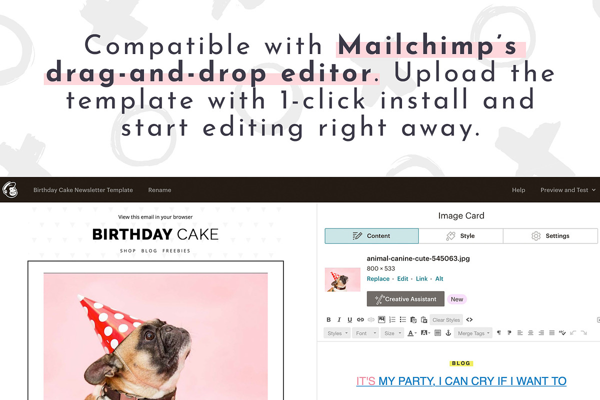 Email Newsletter Template MailChimp, an Email Template by ltsdesigns (Photo 3 of 3)