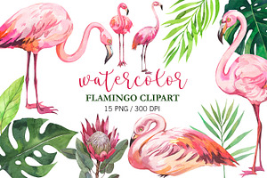 Watercolor Flamingo Clipart, Pink, an Animal Illustration by PatternPalette