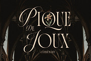 La Primera Ligature Serif, a Serif Font by Letteralle Studios (Thumbnail 5 of 13)