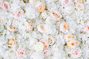 Flowers wall background white roses containing abstract, art, and background