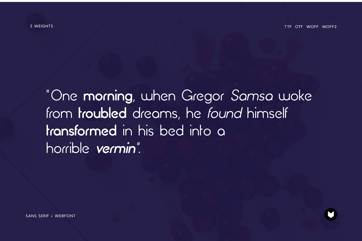 Cranberry Display Typeface, a Font by Foxtype (Photo 7 of 8)
