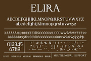 ELIRA | Modern Elegant Serif, a Serif Font by The Gelato Type (Thumbnail 12 of 12)