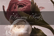 Perfections - Classy Romantic Script, a Script Font by BrandSemut (Thumbnail 14 of 15)