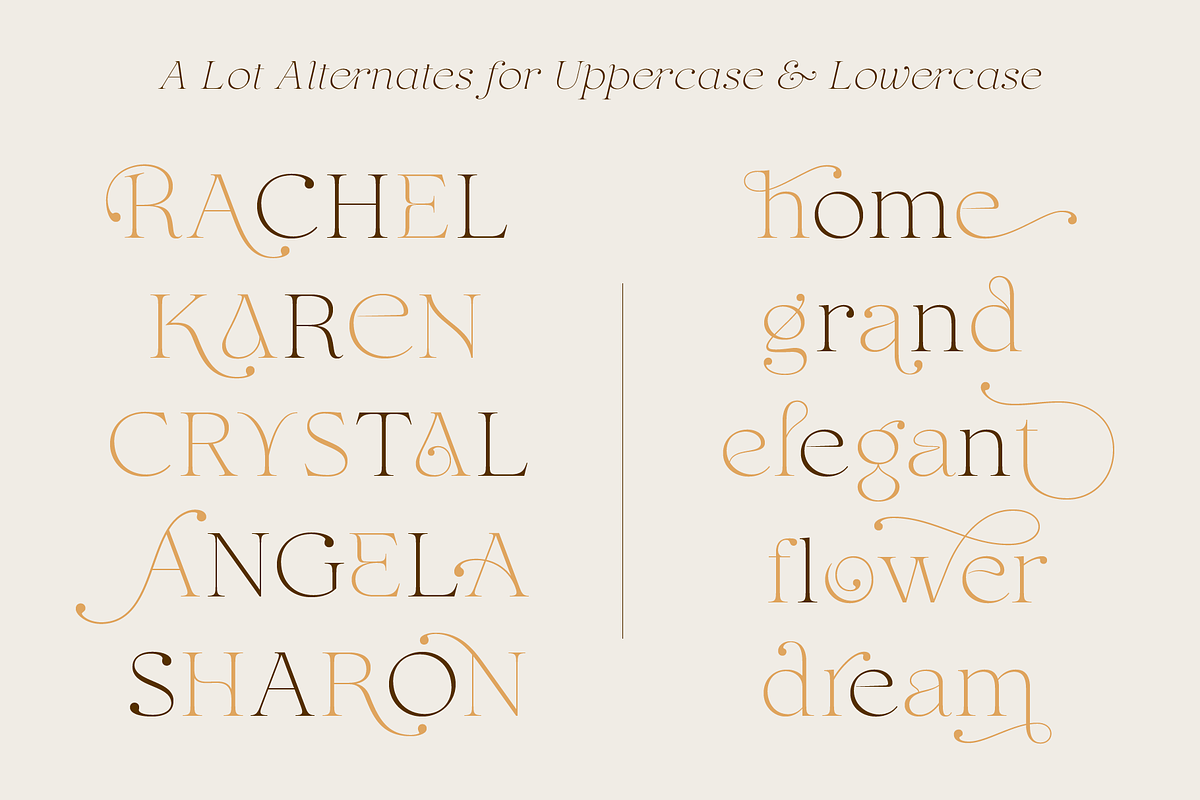Puanto, a Serif Font by Larin Type Co. (Photo 7 of 15)