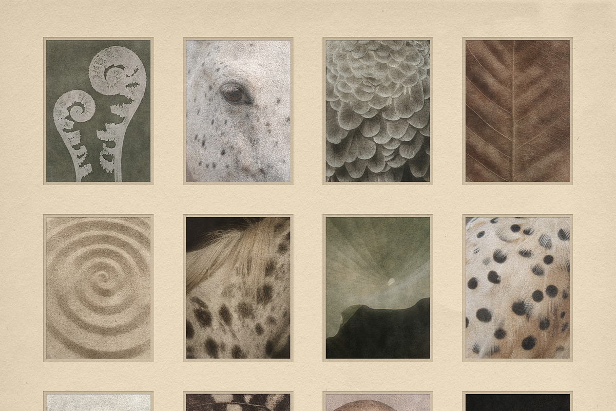 Windfall Organic Nature Backgrounds, a Background Graphic by alonahaidash (Photo 11 of 14)