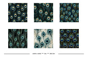 Peacock Feather Animal Print Designs, a Pattern Graphic by karenfoleyphoto (Thumbnail 5 of 11)