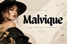 Bold Display / Expressive / Elegant