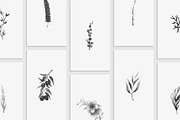 50 Instagram Story Highlight Icons, a Social Media Template by Amit Debnath (Thumbnail 2 of 4)