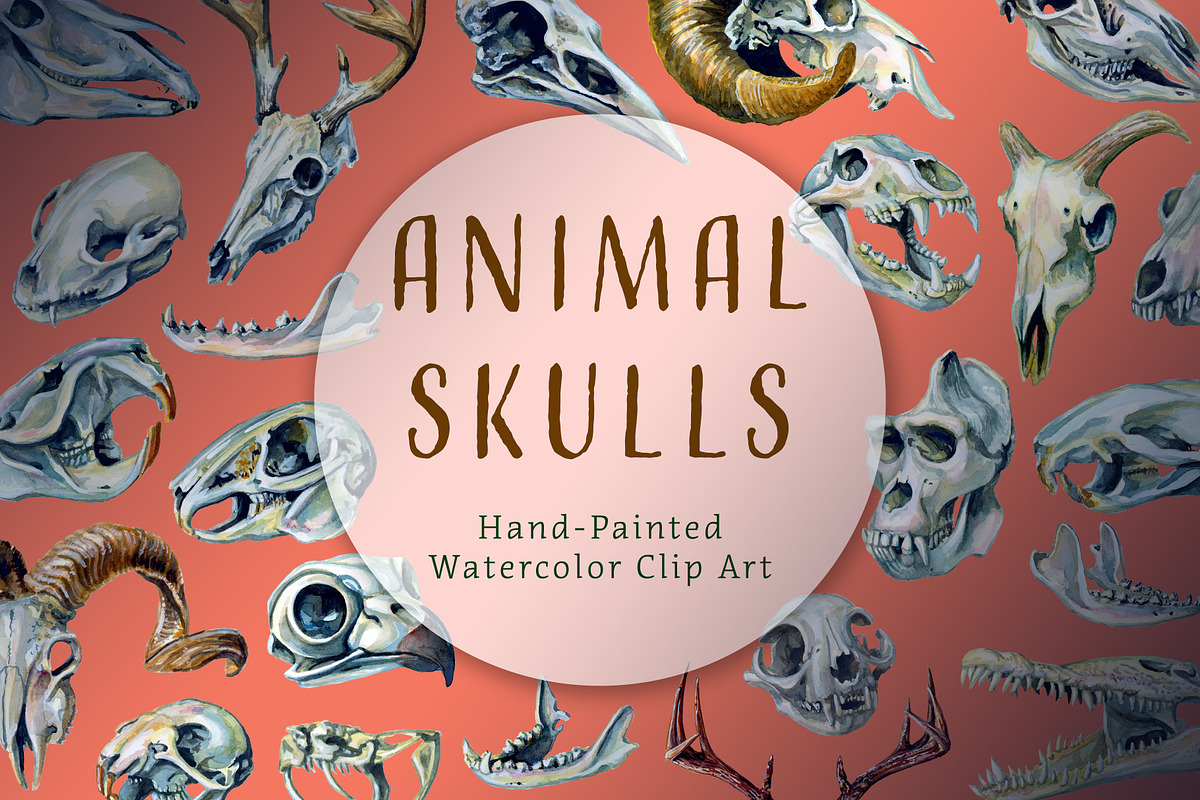 Ultimate Witchcraft Bundle!, an Animal Illustration by The Curio Cabinet (Photo 5 of 16)