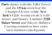 Vintora Serif, a Font by Matra Creative (Thumbnail 11 of 16)