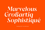 Sandega, a Sans Serif Font by Locomotype (Thumbnail 3 of 11)