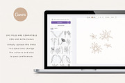 Australian Botanical Illustrations, a Decorative Illustration by rouxsupplyco (Thumbnail 12 of 13)