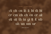 Suckira – Modern Elegant Serif Font, a Serif Font by Perfectype (Thumbnail 8 of 8)