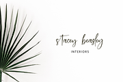 Sierra Gorge Script, a Script Font by Beck McCormick (Thumbnail 3 of 10)