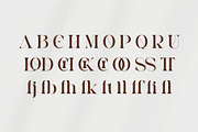 BLODE - Elegant Serif Font, a Serif Font by Aqeel_Art (Thumbnail 11 of 12)