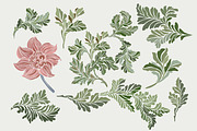 134 Art Nouveau Floral PNG SVG, a Decorative Illustration by Anada Arty (Thumbnail 3 of 11)