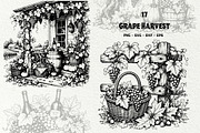 Grape Harvest Vineyard Graphics, a Decorative Illustration by DENIDigitalArtSudio (Thumbnail 1 of 6)