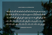 Lubiedo | Monoline Script, a Script Font by gracetype_studio (Thumbnail 11 of 12)