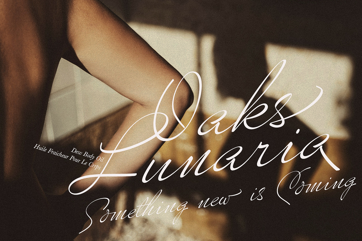 Volkanoski Script Pro, a Script Font by Alcode (Photo 12 of 17)