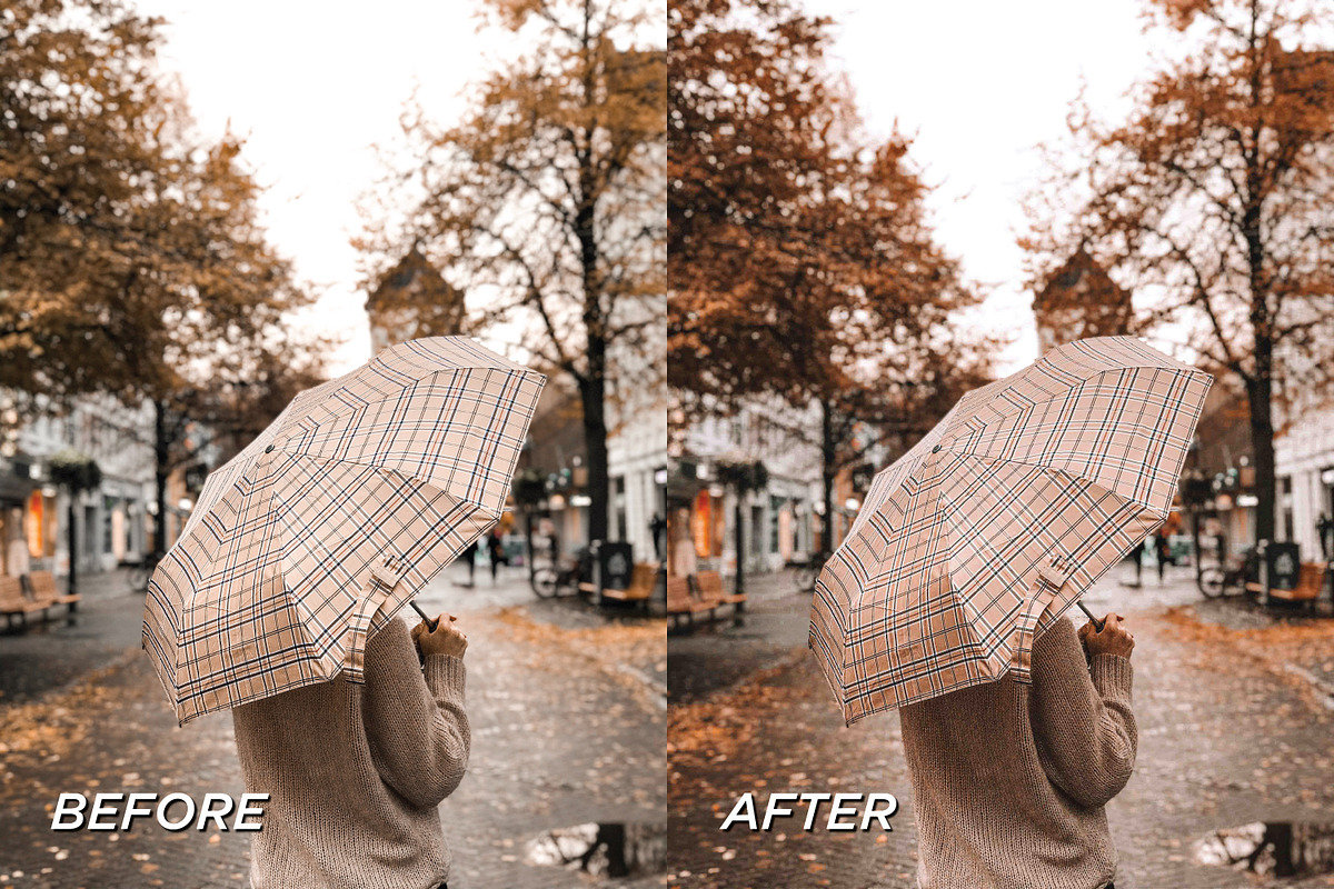 15 Moody Fall Lightroom Presets, a Preset Add-On by TheWayfarerShoppe (Photo 2 of 6)