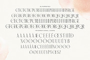 Horence  Ligature Serif Display, a Serif Font by Storytype Studio (Thumbnail 14 of 15)