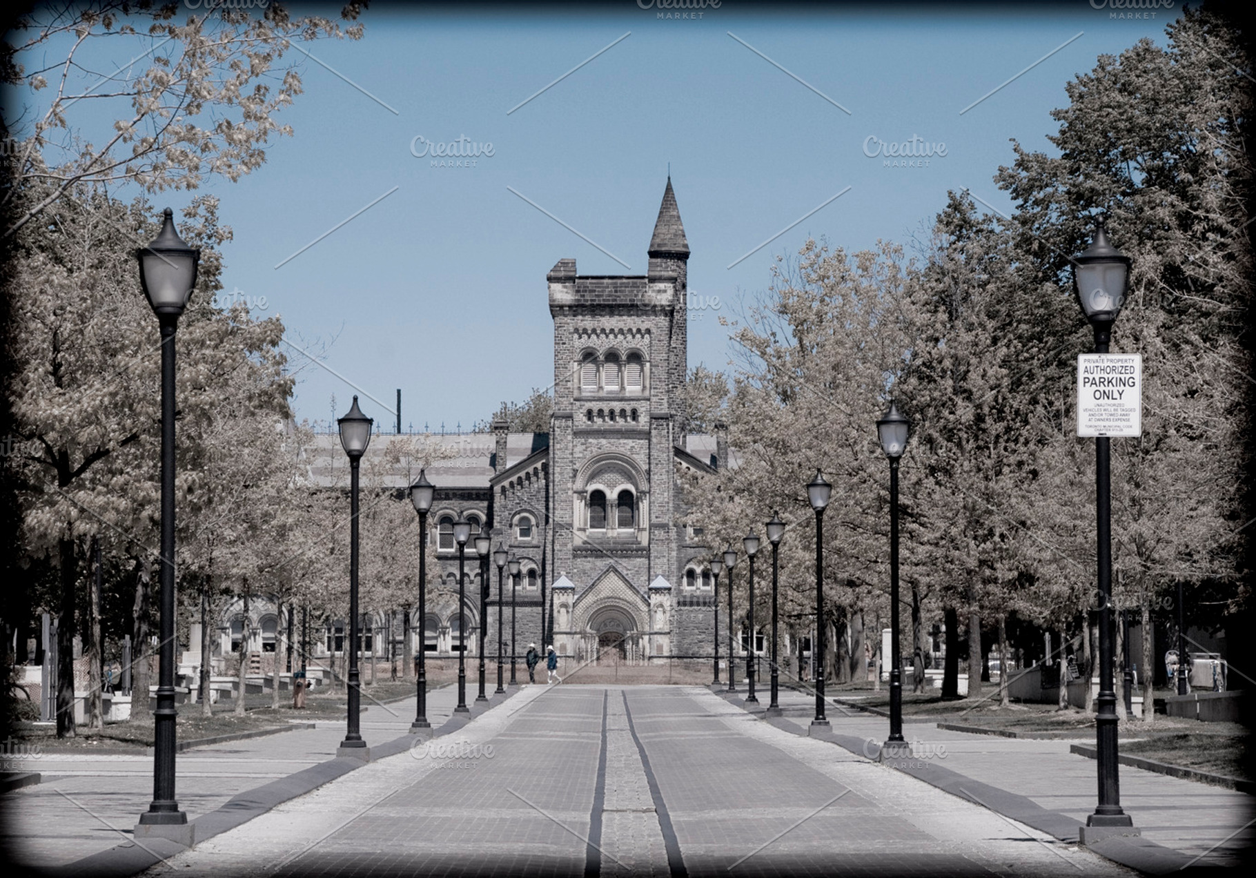 University of Toronto Campus, an Architecture Photo by Amazing Photography