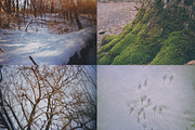 45 Nature Snapshots (Lomo LC-A), a Nature Photo by Studio Rho (Thumbnail 7 of 11)