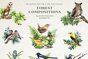 Woodland Animals Watercolor Clipart, an Animal Illustration by AnitaPol (Thumbnail 7 of 17)