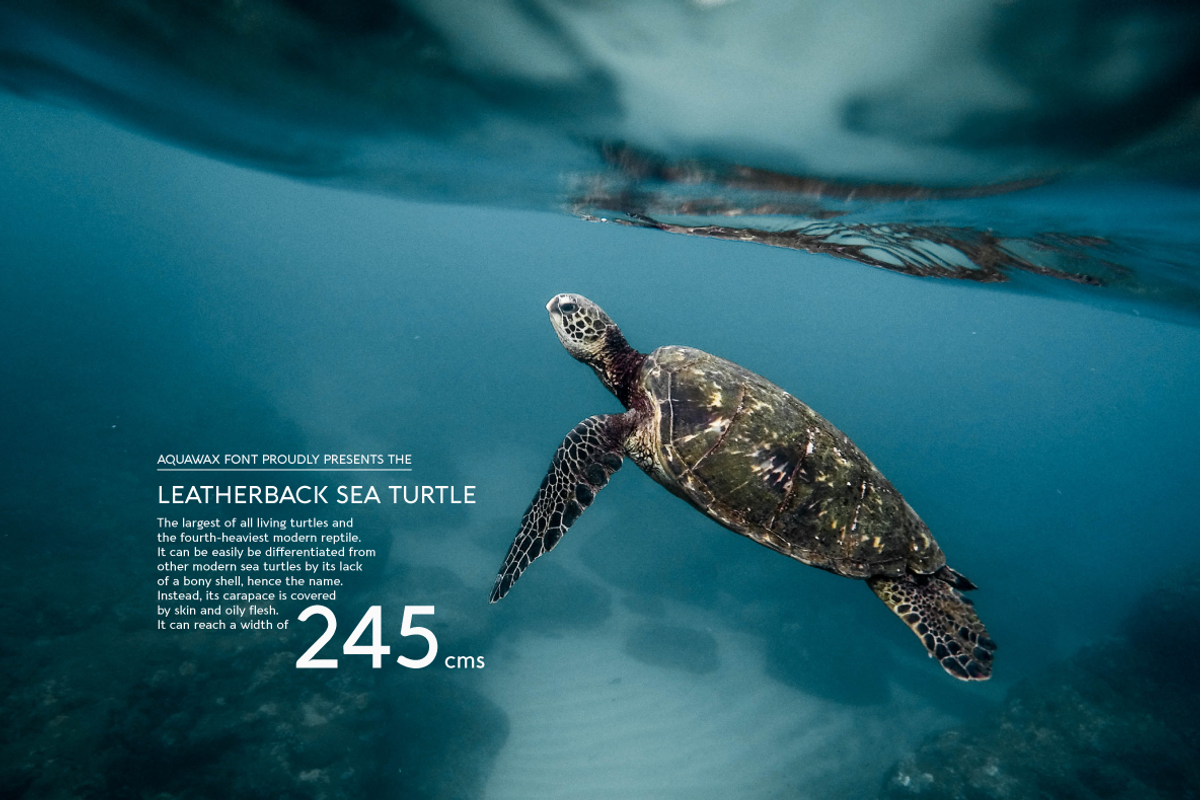 Aquawax Pro - 27 fonts preview 5