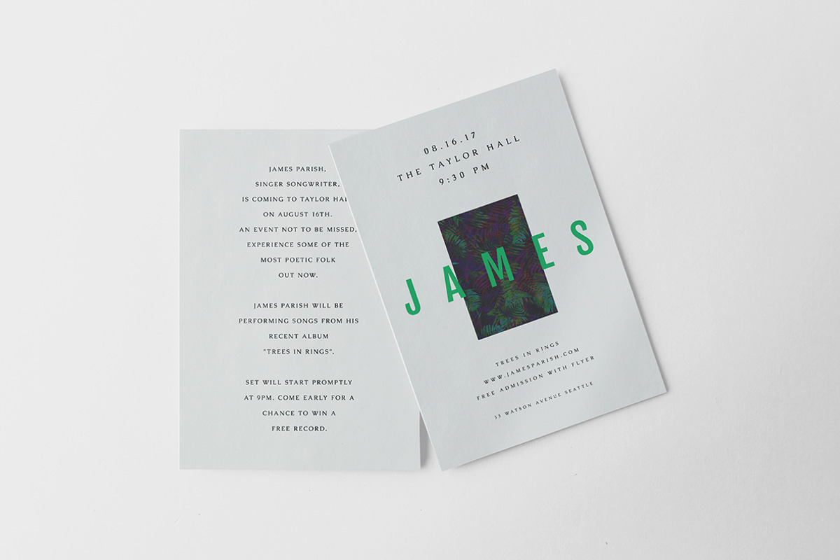 James Flyer, a Flyer Template by Viaduc (Photo 4 of 4)