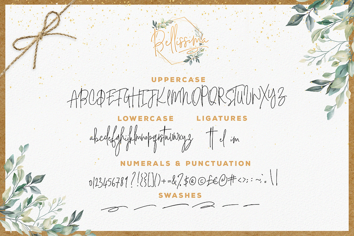 Bellissima Signature Script Font preview 5