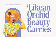 Kenora Groovy Retro Serif Font, a Serif Font by timelesstype.co (Thumbnail 15 of 20)