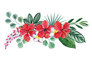 Tropical plants set, an Illustration by Watercolor life (Thumbnail 3 of 13)