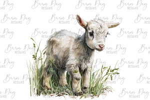 Watercolor Baby Goat Clipart Bundle