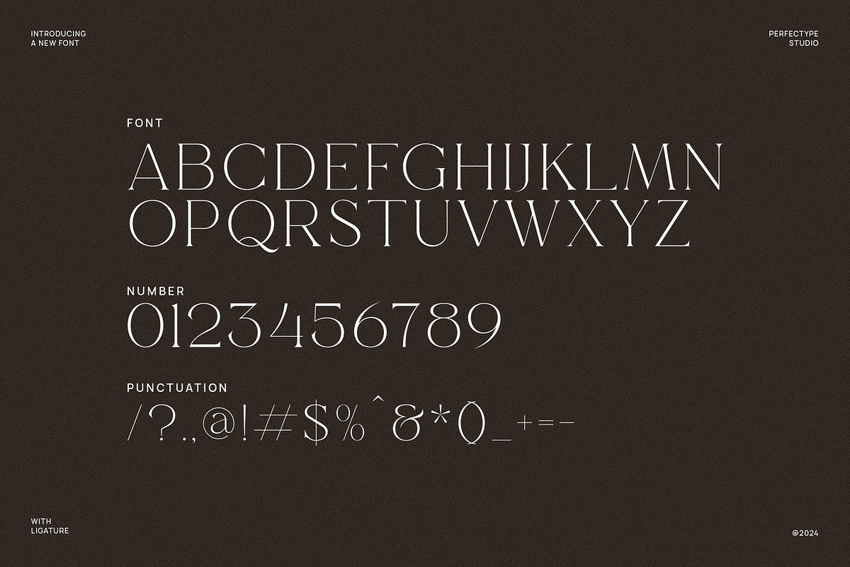 Magire - Elegant Serif, a Serif Font by Luna Shop (Photo 3 of 6)